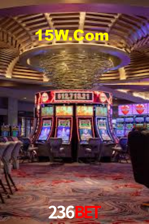 236Bet App