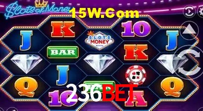 Sistemas de Segurança 236Bet